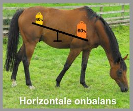 de horizontale onbalans van het paard