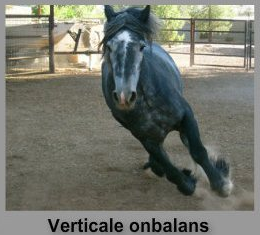 de verticale onbalans van het paard