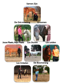 Horsefulness-trainingssysteem - Het Vrije Werk - De 8 Connectie-oefeningen