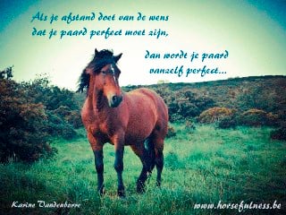 Je paard wordt vanzelf perfect als het niet perfect moet zijn